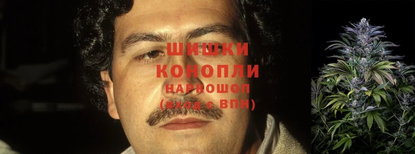 ГАЛЛЮЦИНОГЕННЫЕ ГРИБЫ Лихославль
